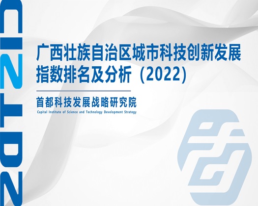 操骚逼合集【成果发布】广西壮族自治区城市科技创新发展指数排名及分析（2022）